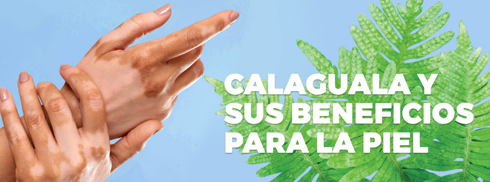 Calaguala y sus beneficios para la piel