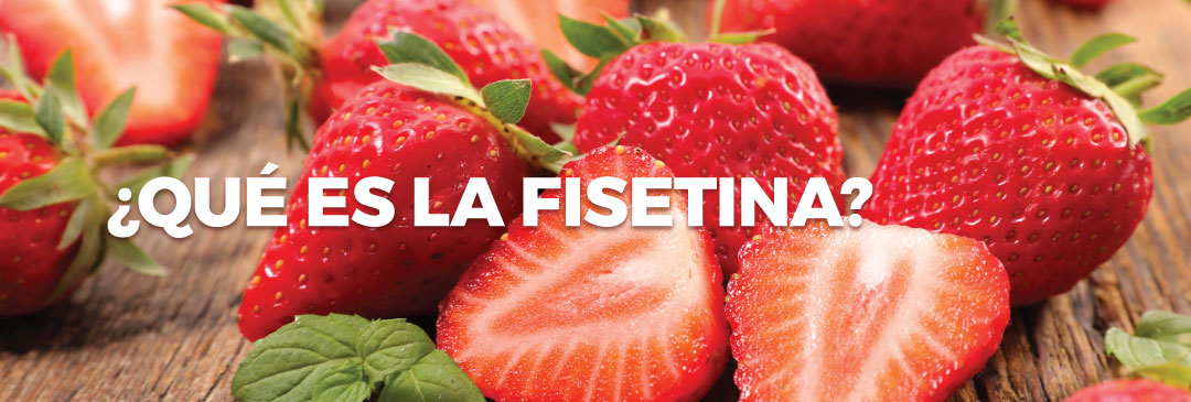 ¿Qué es la Fisetina?