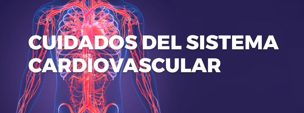 Cuidados del sistema cardiovascular