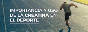 Creatina en el deporte