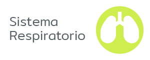 Sistema Respiratorio